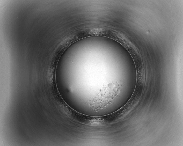 X0000094070505200710261249