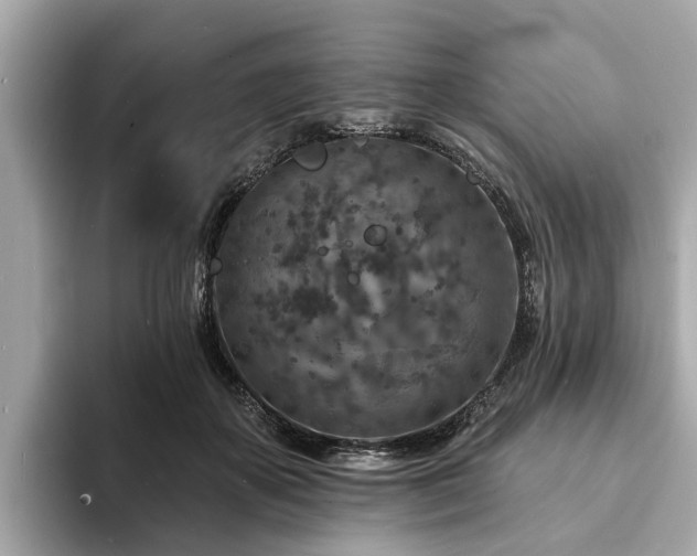 X0000094070507200710261249