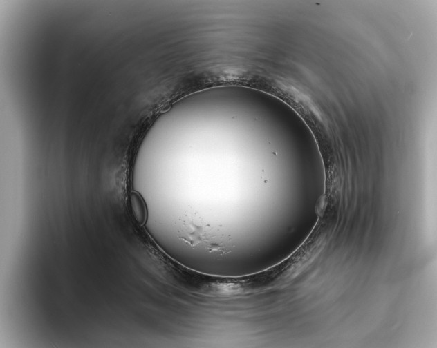 X0000094070509200710261249