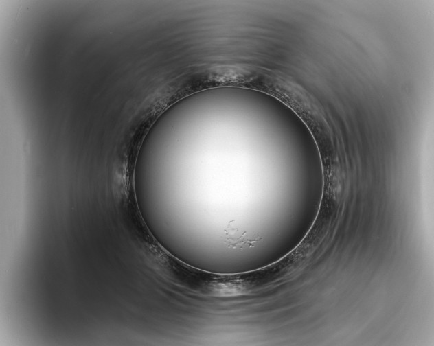 X0000094070510200710261249