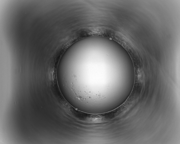 X0000094070514200710261249