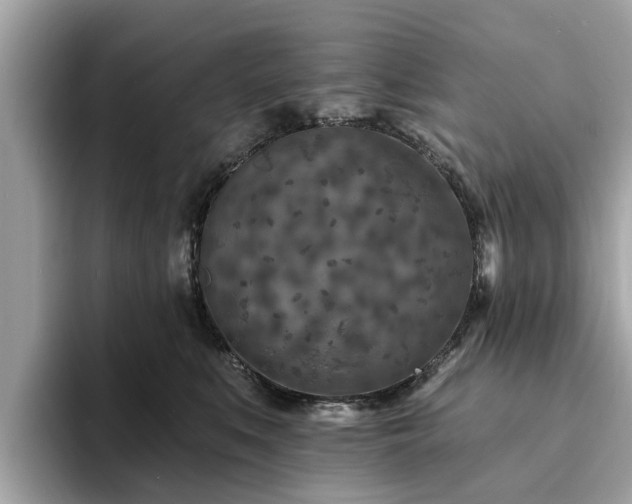 X0000094070519200710261249