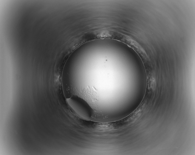 X0000094070521200710261249
