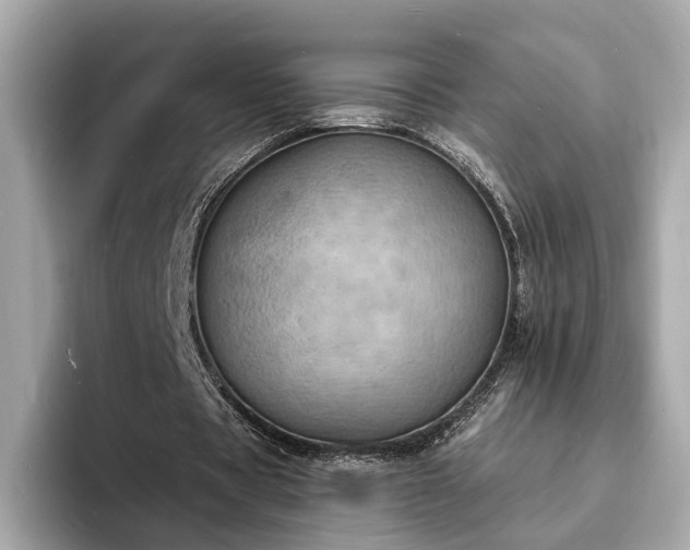 X0000094070529200710261248