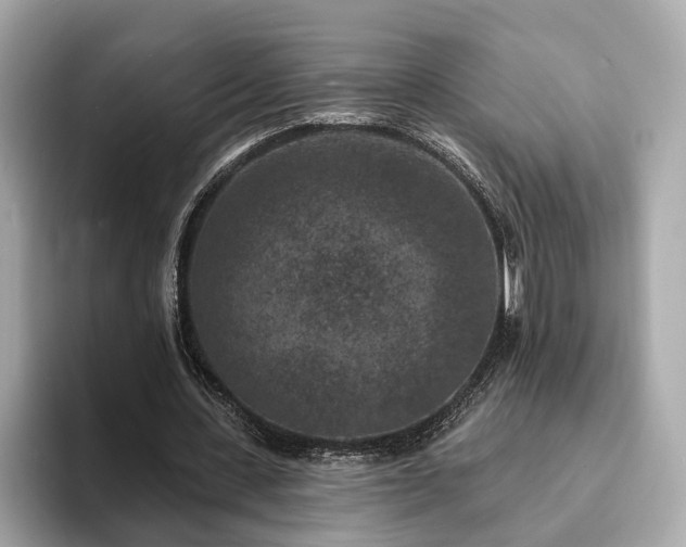 X0000094070531200710261248