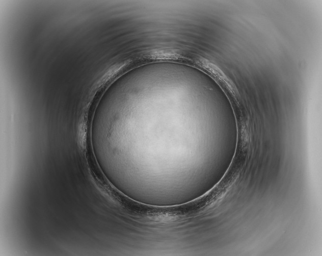 X0000094070533200710261248