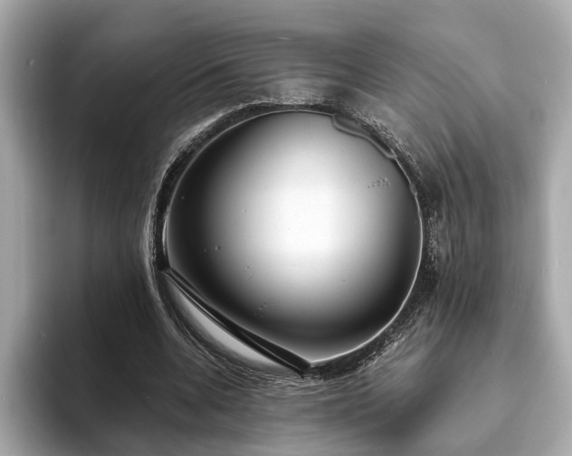 X0000094070536200710261248