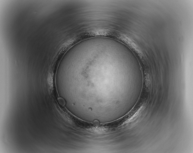 X0000094070537200710261248
