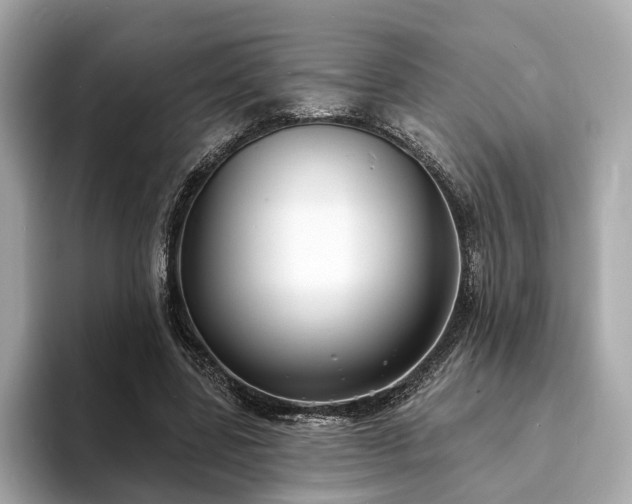 X0000094070539200710261248