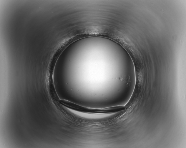 X0000094070540200710261248