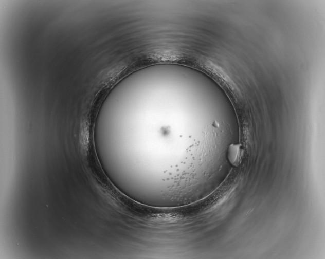 X0000094070541200710261248