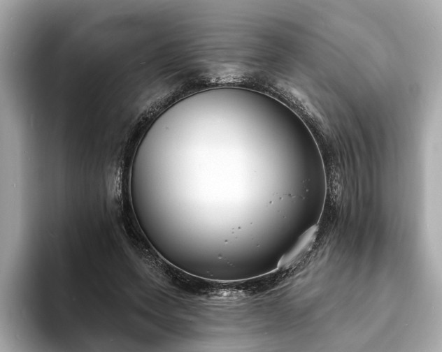 X0000094070543200710261248