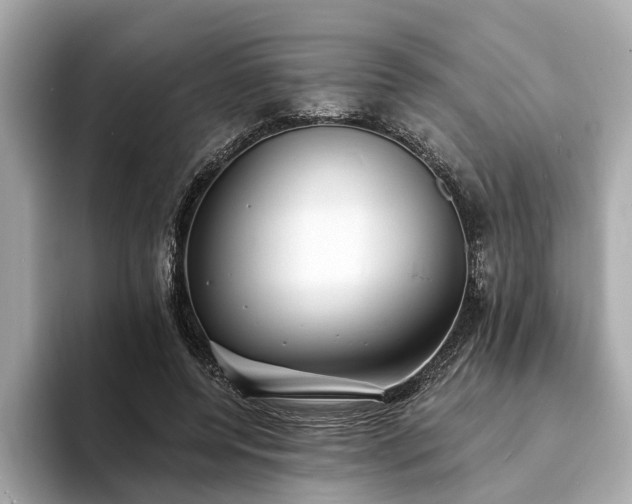 X0000094070544200710261248