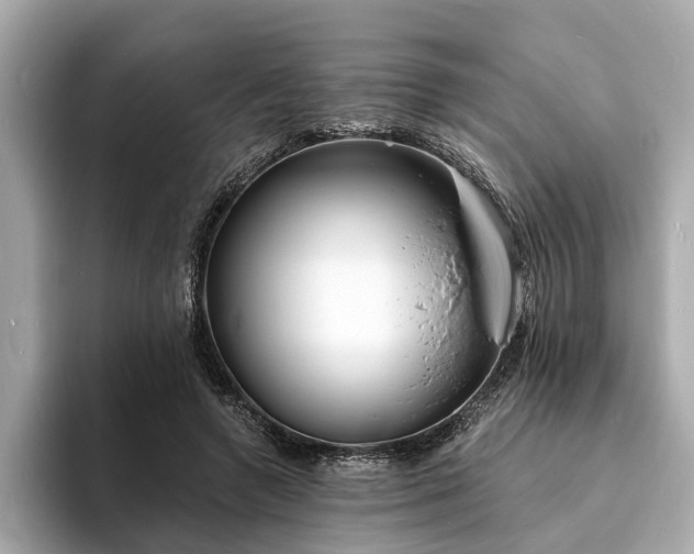 X0000094070546200710261248
