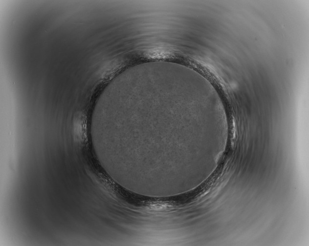 X0000094070547200710261248