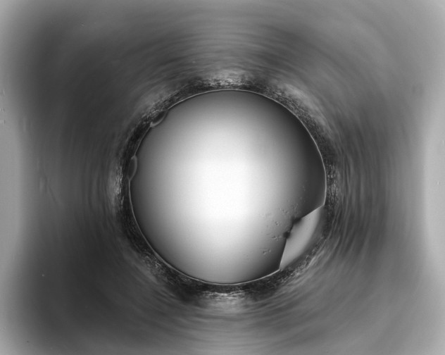 X0000094070548200710261248