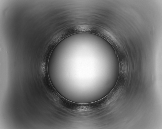 X0000094070549200710261249