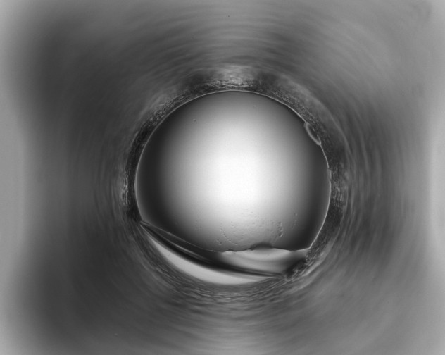 X0000094070552200710261249