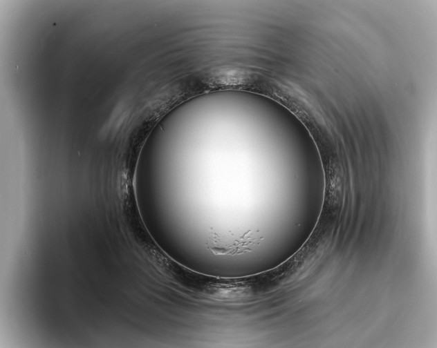 X0000094070555200710261249