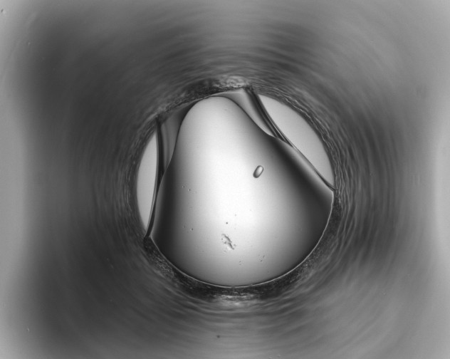 X0000094070556200710261249