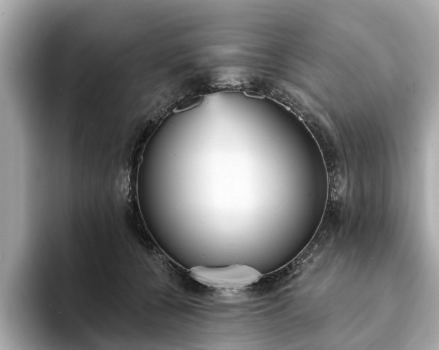 X0000094070560200710261249