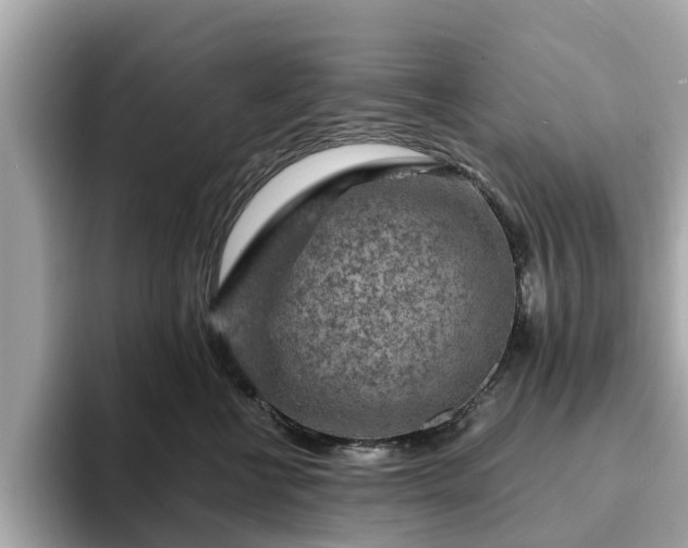 X0000094070570200710261249