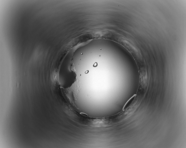 X0000094070574200710261249