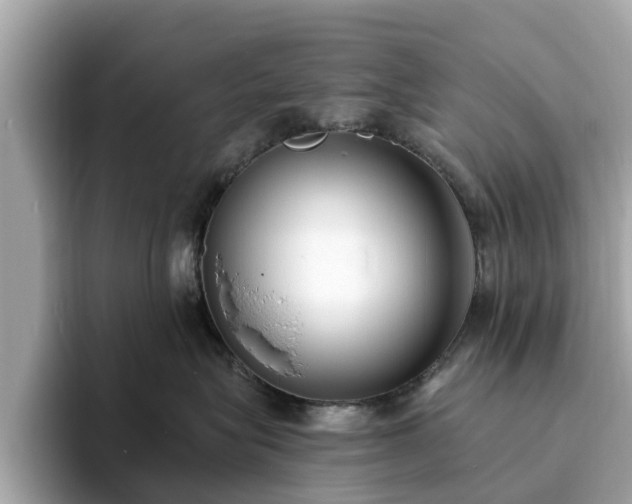 X0000094070575200710261249