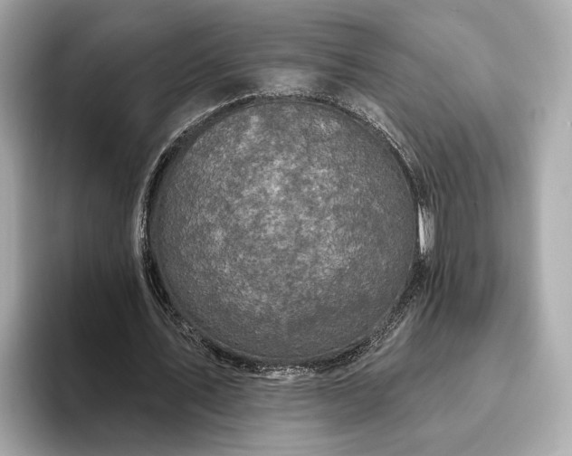 X0000094070579200710261248