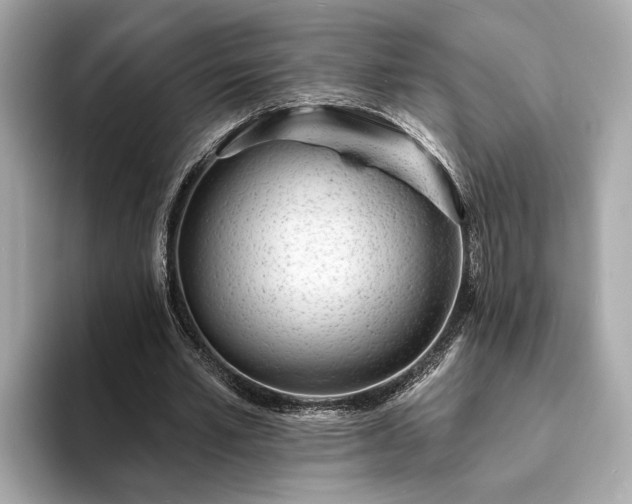 X0000094070581200710261248