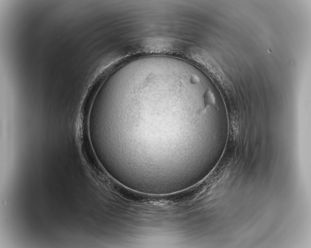 X0000094070583200710261248