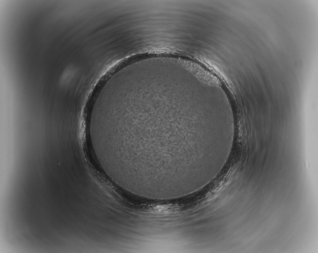 X0000094070584200710261248