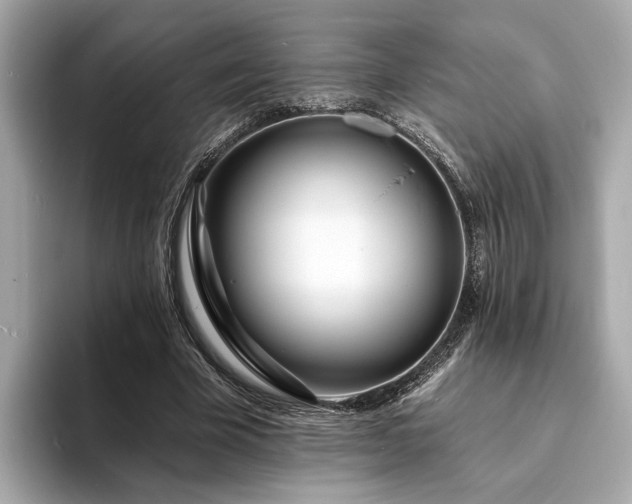 X0000094070585200710261248