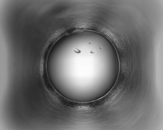 X0000094070586200710261248