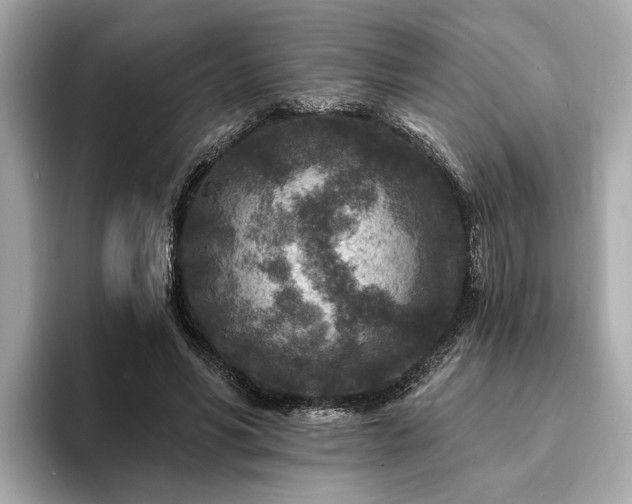 X0000094070590200710261248