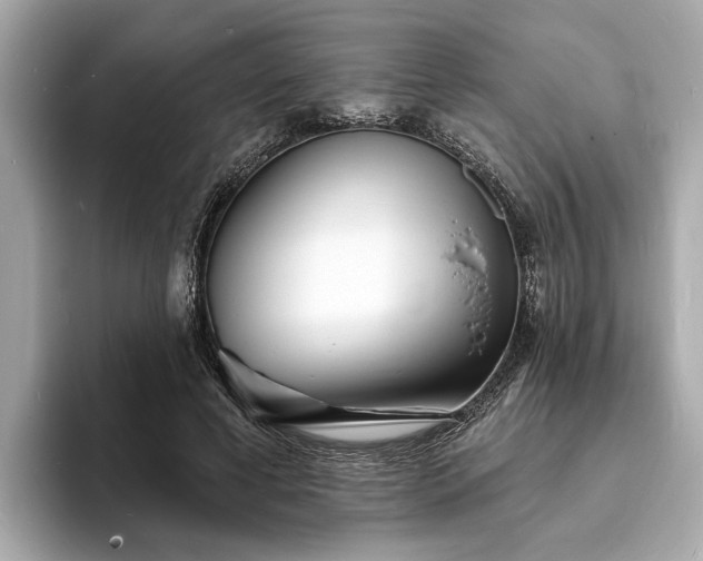 X0000094070593200710261248