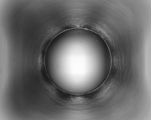X0000094070594200710261248