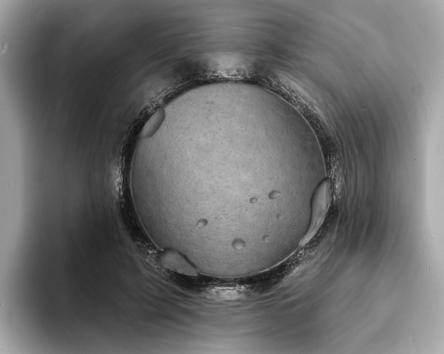 X0000094070595200710261248