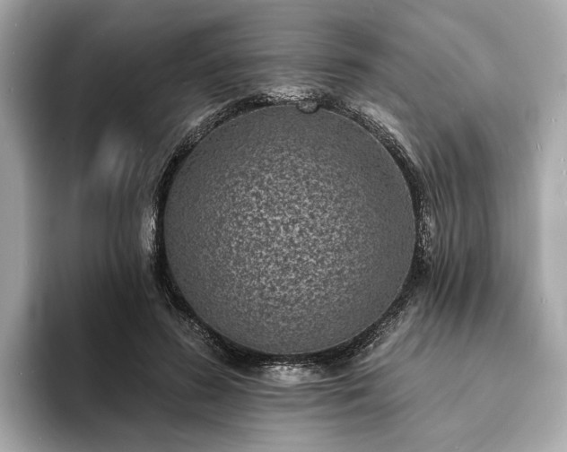 X0000094070596200710261248