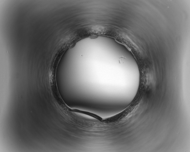 X0000094070597200710261248