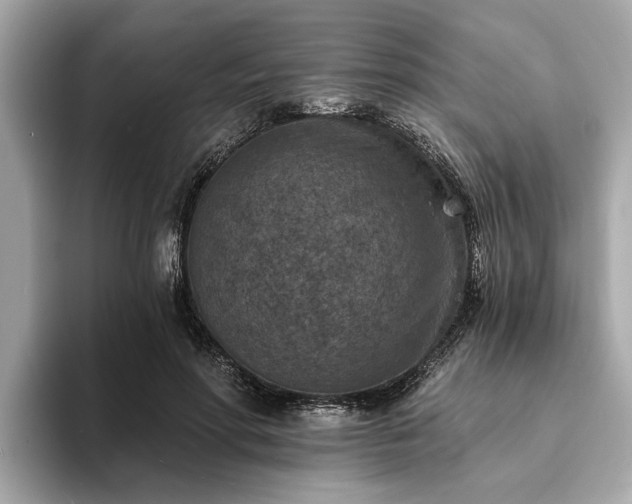 X0000094070598200710261248