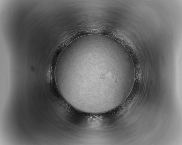 X0000094070599200710261248