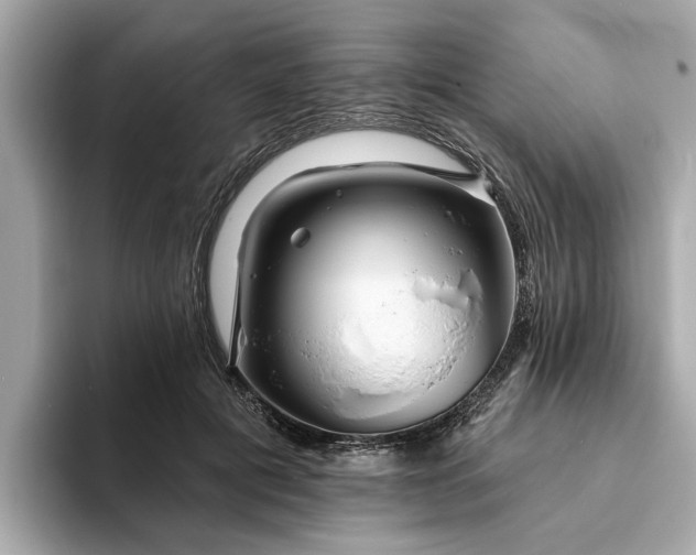 X0000094070601200710261248
