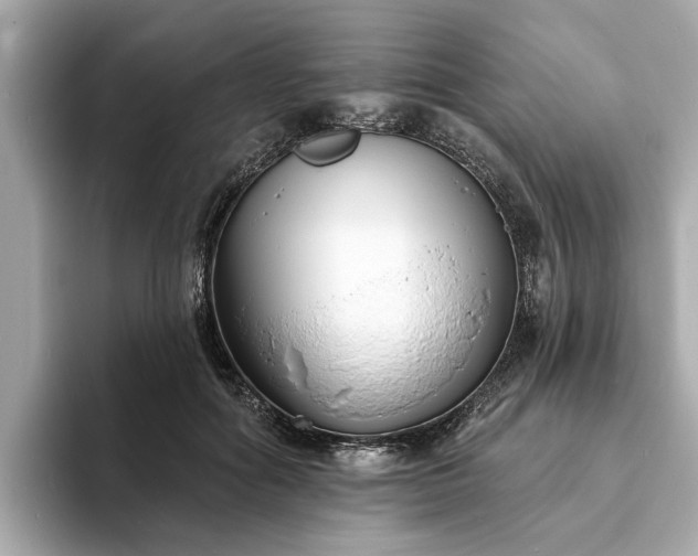 X0000094070602200710261248