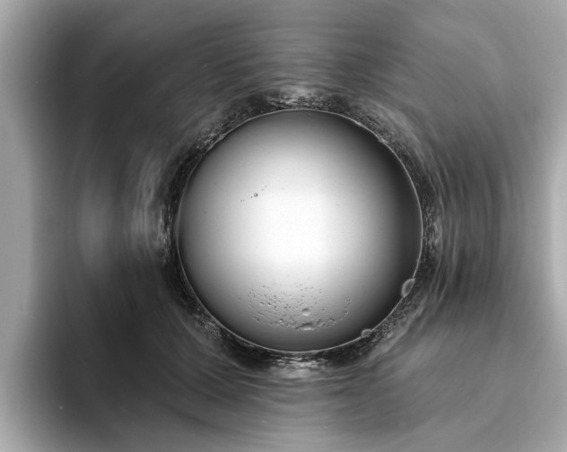 X0000094070607200710261248