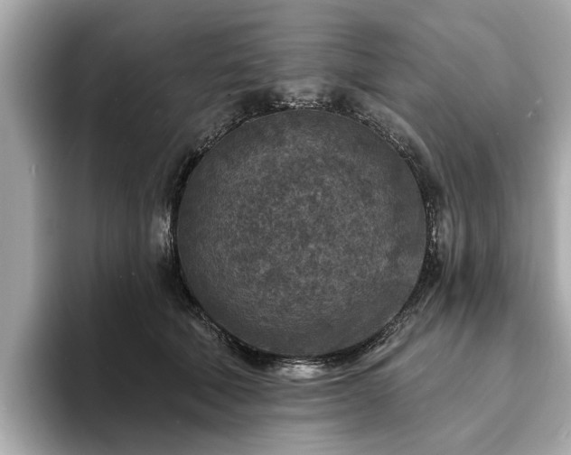 X0000094070610200710261248