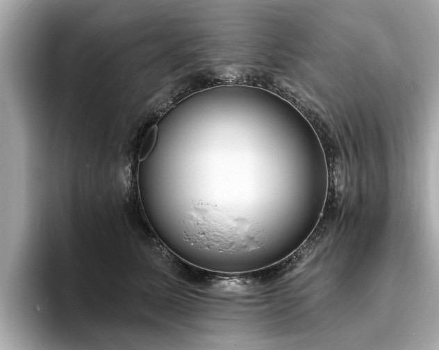 X0000094070611200710261248