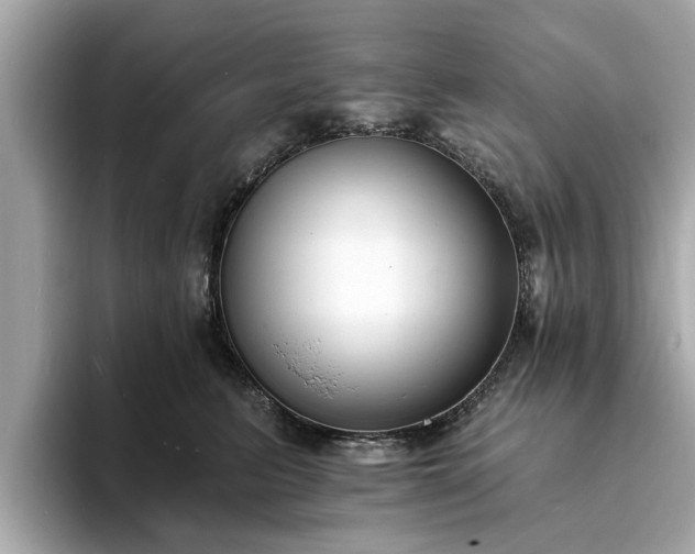 X0000094070615200710261248