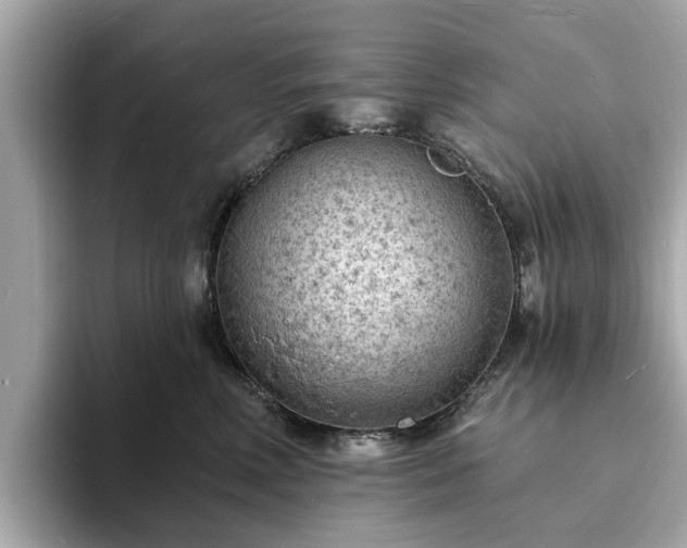 X0000094070618200710261248