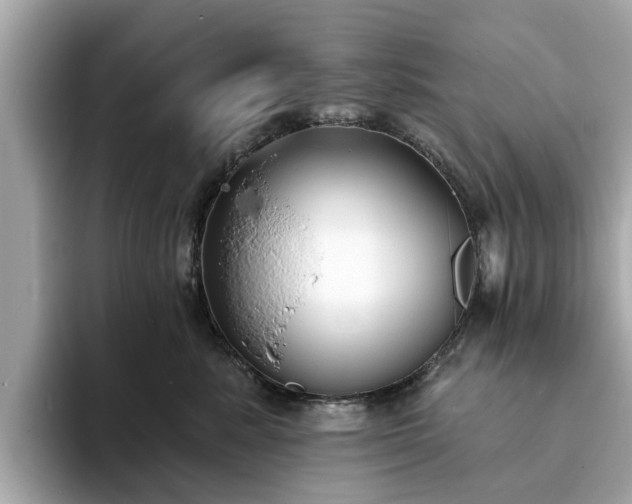 X0000094070619200710261248